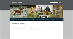 Desktop Screenshot of blueskytollers.com